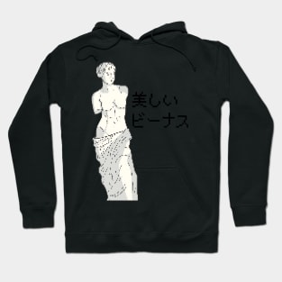 Aesthetic Venus Hoodie